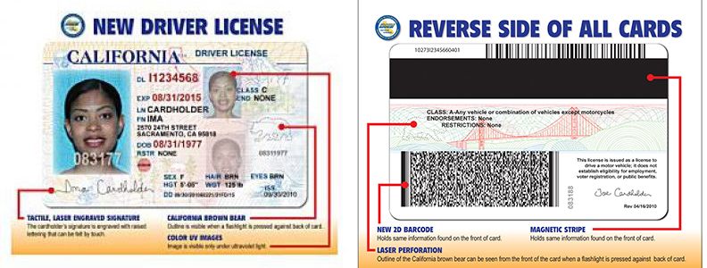Fake Ids Front And Back
