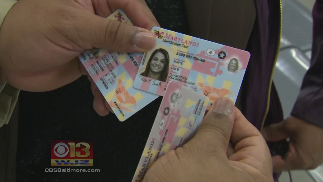 How Much Is A Maryland Fake Id