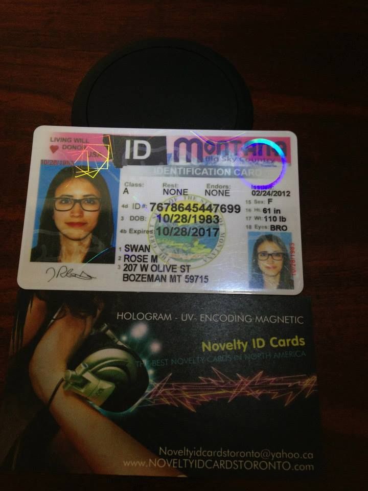Montana fake id
