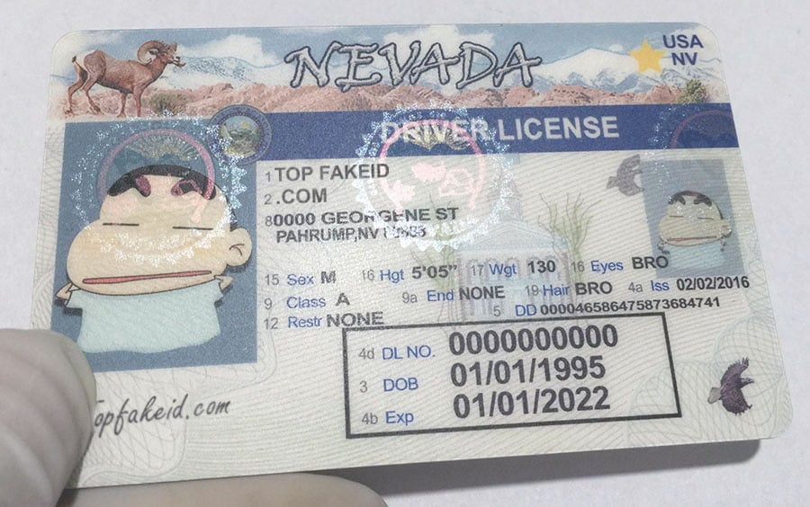 Nevada Fake Id Charges