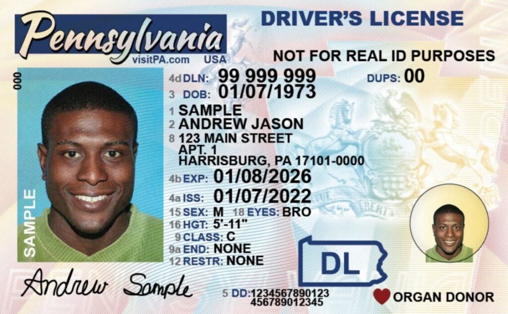 New Hampshire Fake Id Roblox