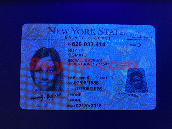 New York Fake Id Website